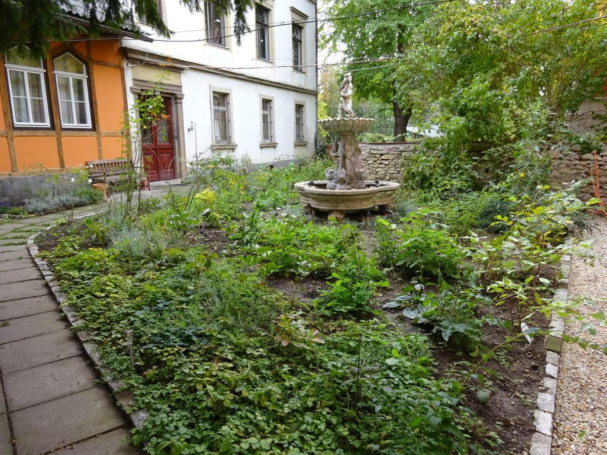 Hummel Hostel - Historische Stadtvilla mit Garten Weimar  Buitenkant foto